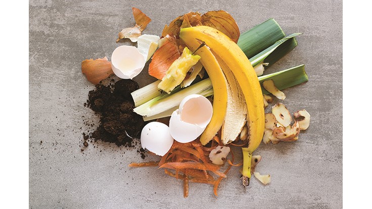 New report outlines composting program best practices
